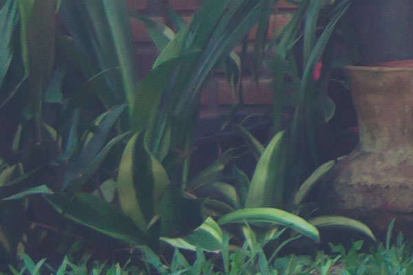 Inspección técnica